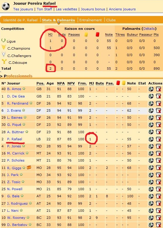 bug.JPG