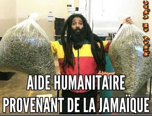 la jamaique avec son talentueux coach Leandro a amené des proteines pour la competition