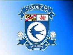 cardiff champion.jpg 2.jpg