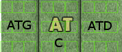 zone at.png
