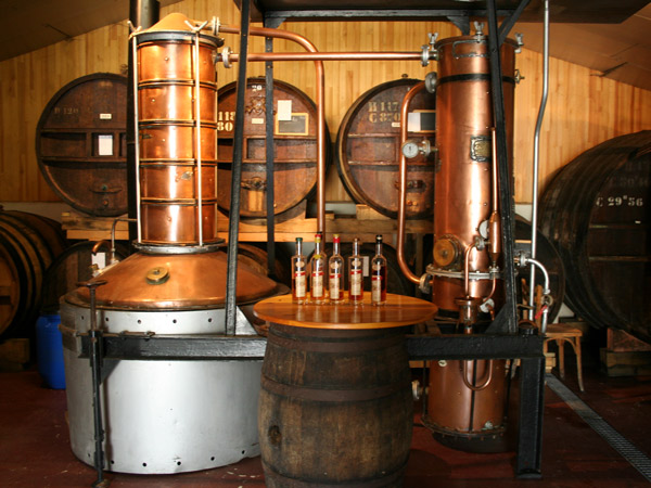 cave_calvados_b.jpg